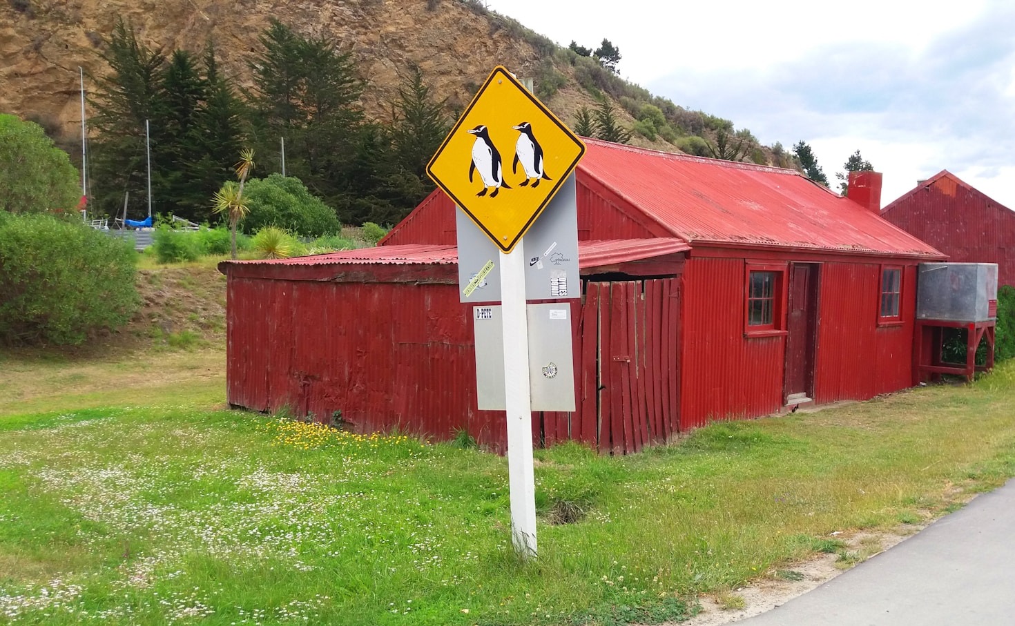 Top 5 Benefits of Rent-to-Own Sheds